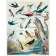 1,000-Piece Puzzle -  Birds  Cheap